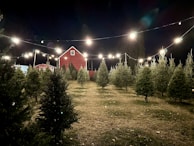 A peaceful evening shot of the farm with twinkling string lights and a glowing fire pit.