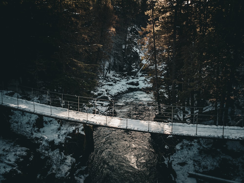 a bridge over a river in the middle of a forest