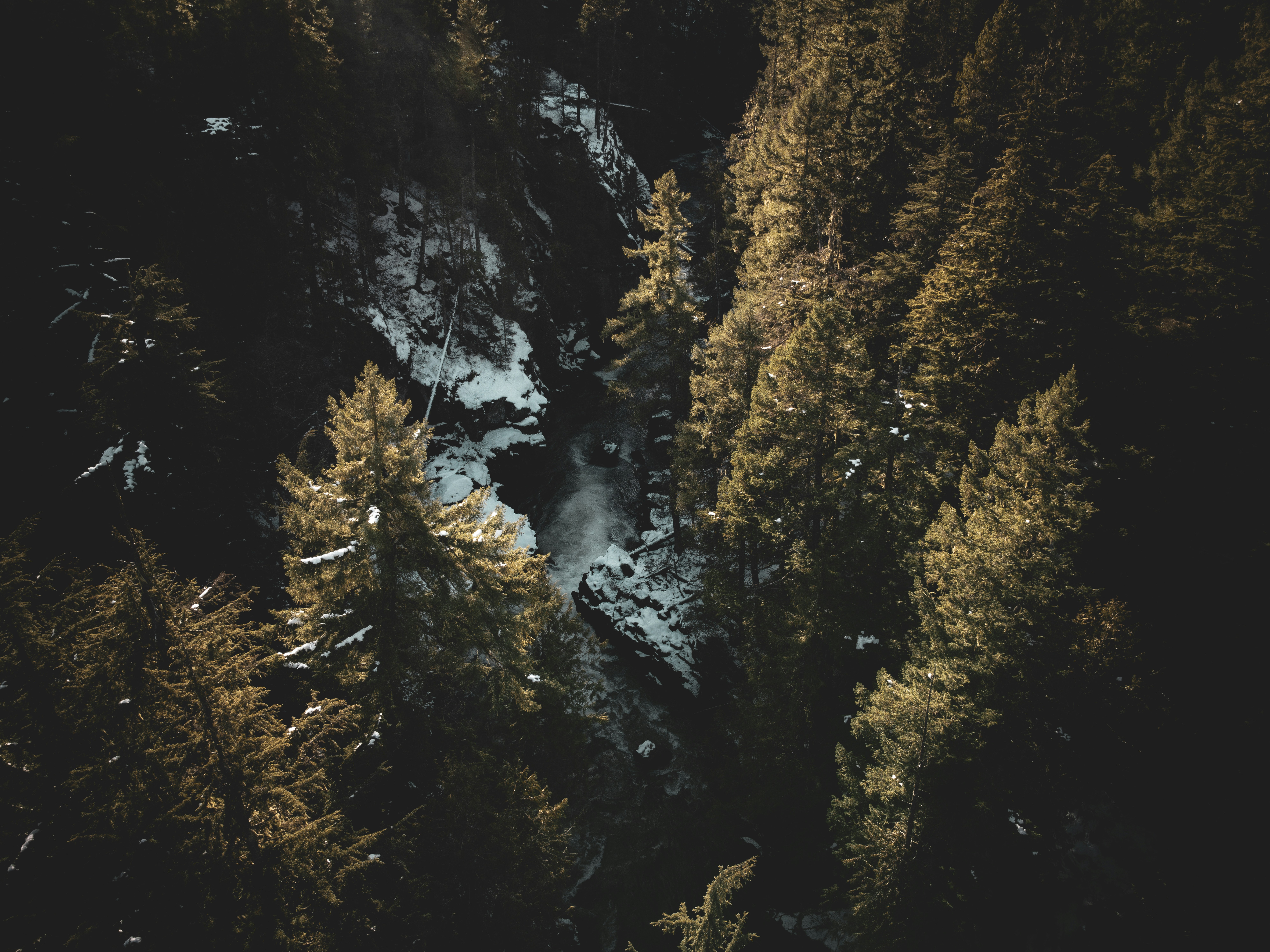 Photo by dillon_hunt