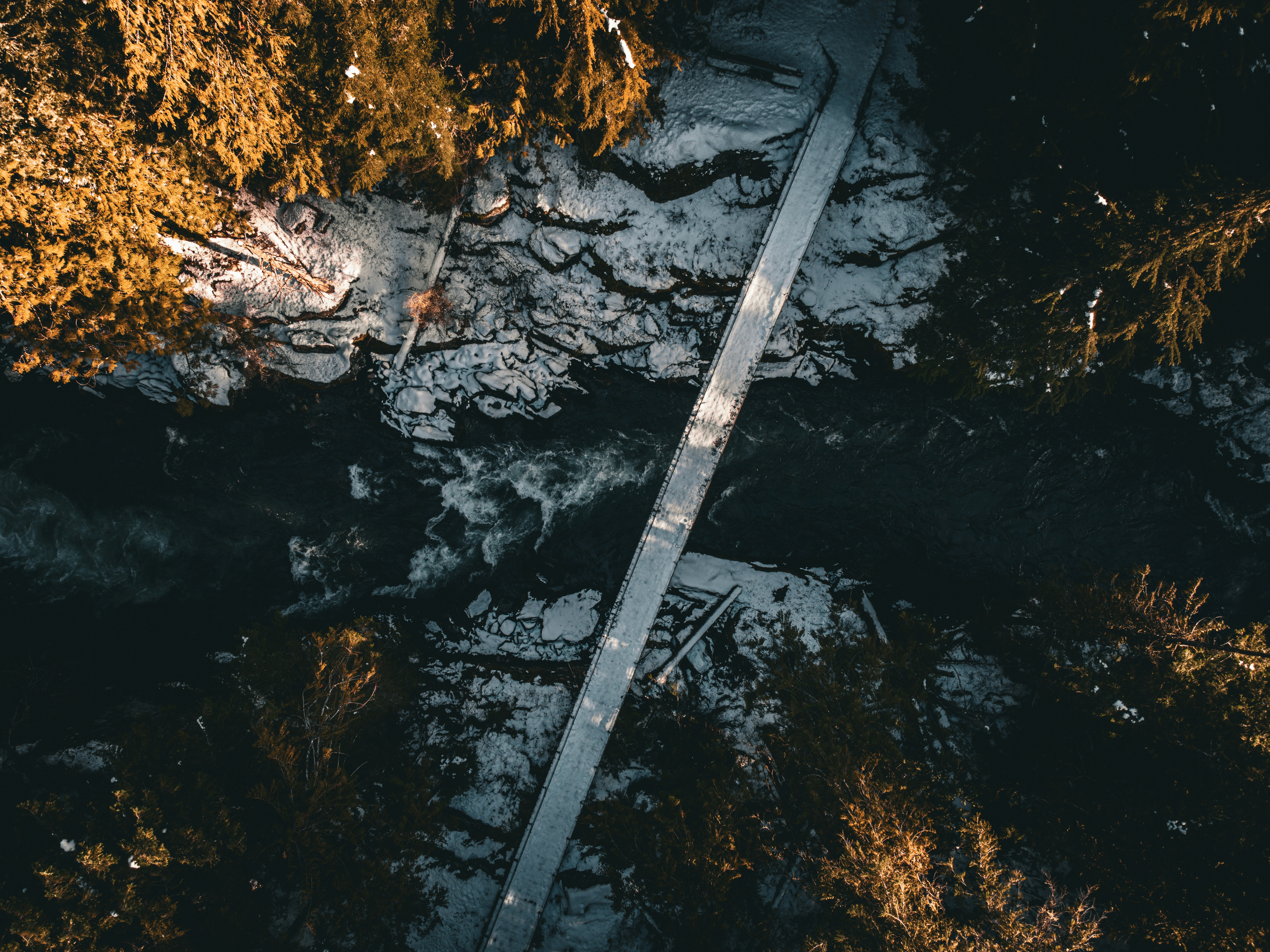 an aerial view of a path in the woods