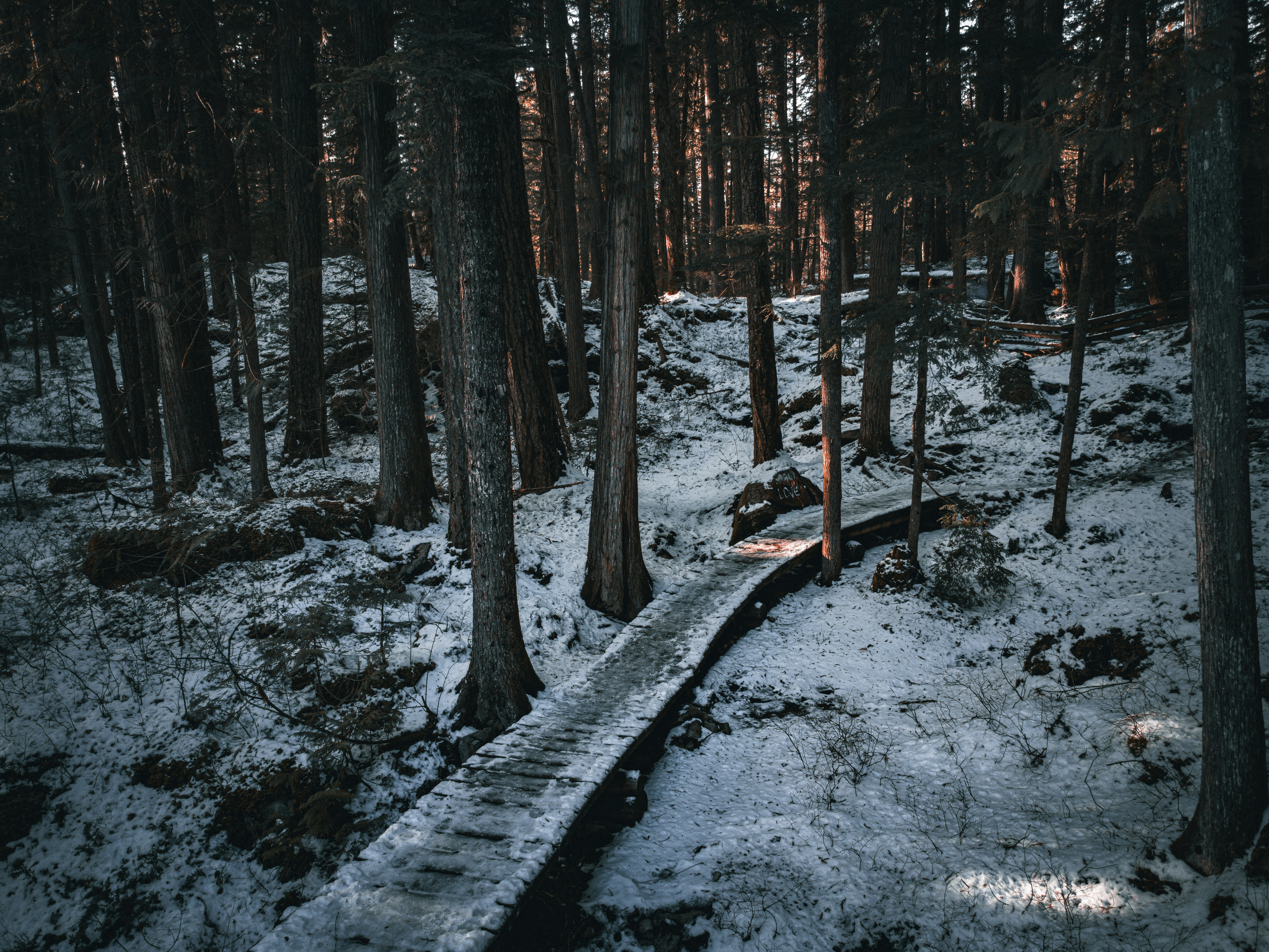 Photo by dillon_hunt