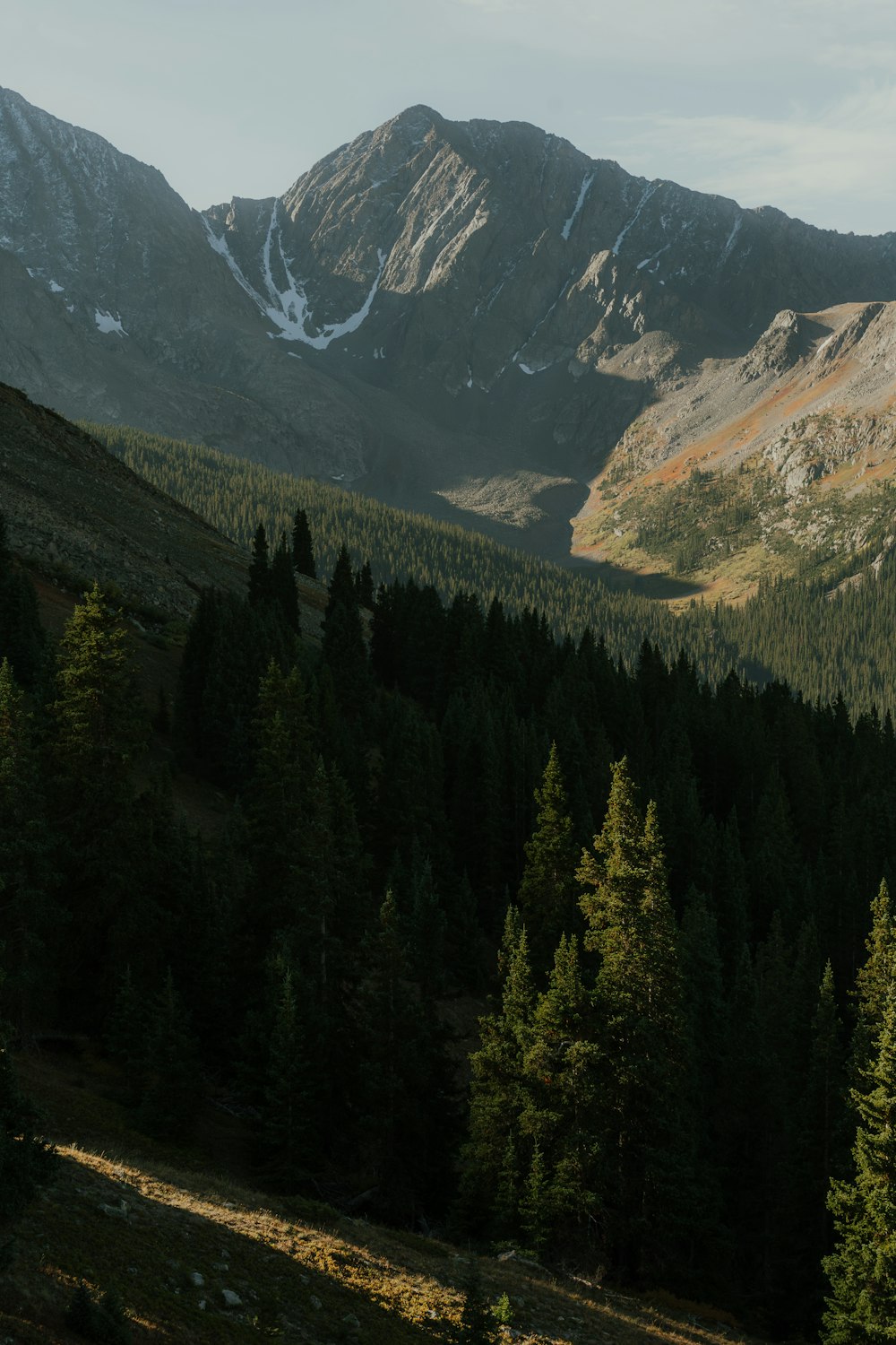 a view of a mountain range with trees in the foreground