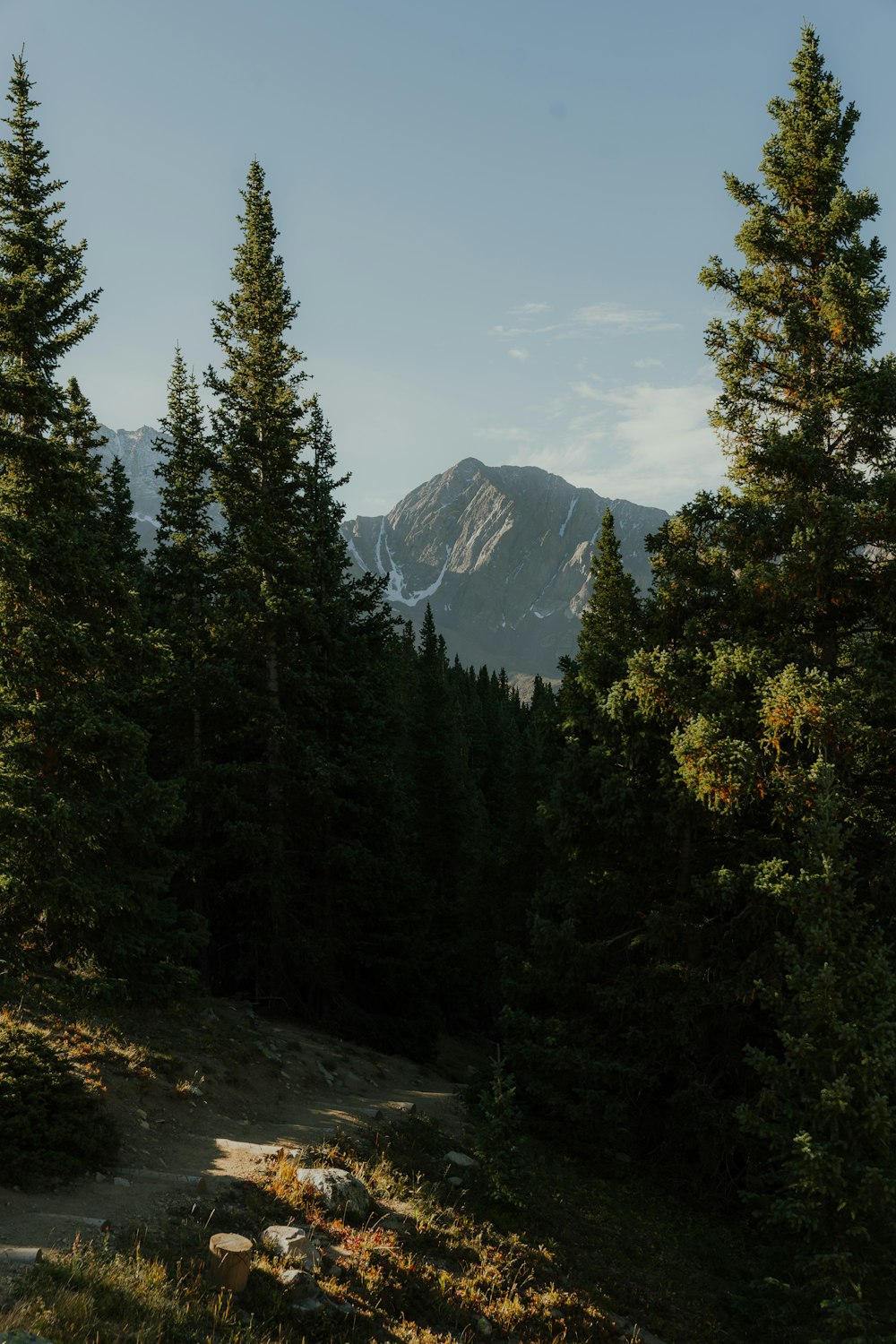 a view of a mountain with trees and rocks