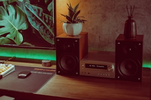 Vibe LED Speaker
