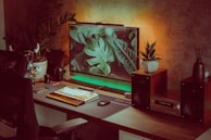 A cozy, well-lit workspace featuring plants and ergonomic accessories.