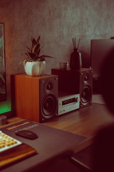 A home audio setup featuring a stereo system with wooden speakers and a receiver positioned on a wooden desk. The speakers have a black finish with metallic accents. A potted plant with pointed leaves sits atop one of the speakers, and a dark vase with reed diffusers is placed nearby. The surrounding environment includes a computer monitor slightly visible in the background.