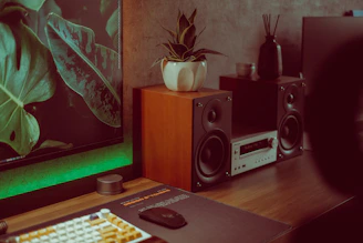 Cozy home office setup with natural light and plants on a wooden desk.