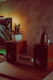 A cozy setup featuring a stereo system with wooden speakers and a central control unit placed on a wooden table. A small potted plant sits on top of the left speaker, while a decorative vase with reed diffusers is on the right. The background wall has a textured finish, adding to the warmth of the scene, illuminated by soft ambient lighting.