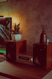 A cozy setup featuring a stereo system with wooden speakers and a central control unit placed on a wooden table. A small potted plant sits on top of the left speaker, while a decorative vase with reed diffusers is on the right. The background wall has a textured finish, adding to the warmth of the scene, illuminated by soft ambient lighting.