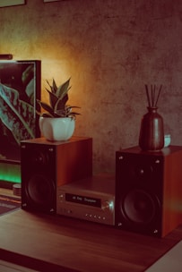 A cozy setup featuring a stereo system with wooden speakers and a central control unit placed on a wooden table. A small potted plant sits on top of the left speaker, while a decorative vase with reed diffusers is on the right. The background wall has a textured finish, adding to the warmth of the scene, illuminated by soft ambient lighting.