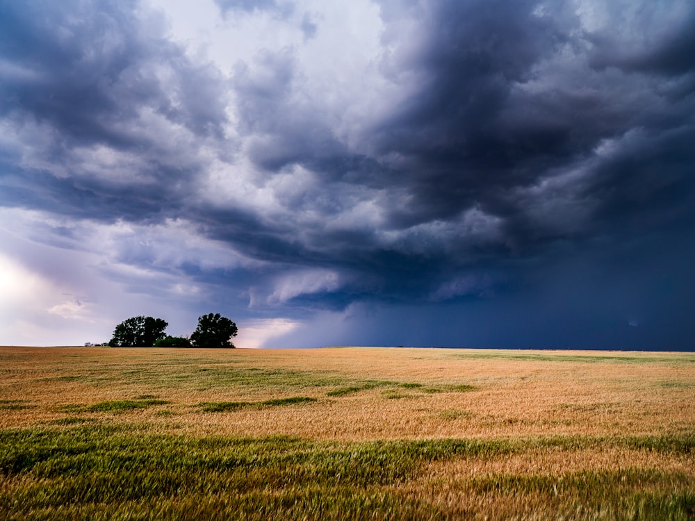 a large field of grass under a cloudy sky