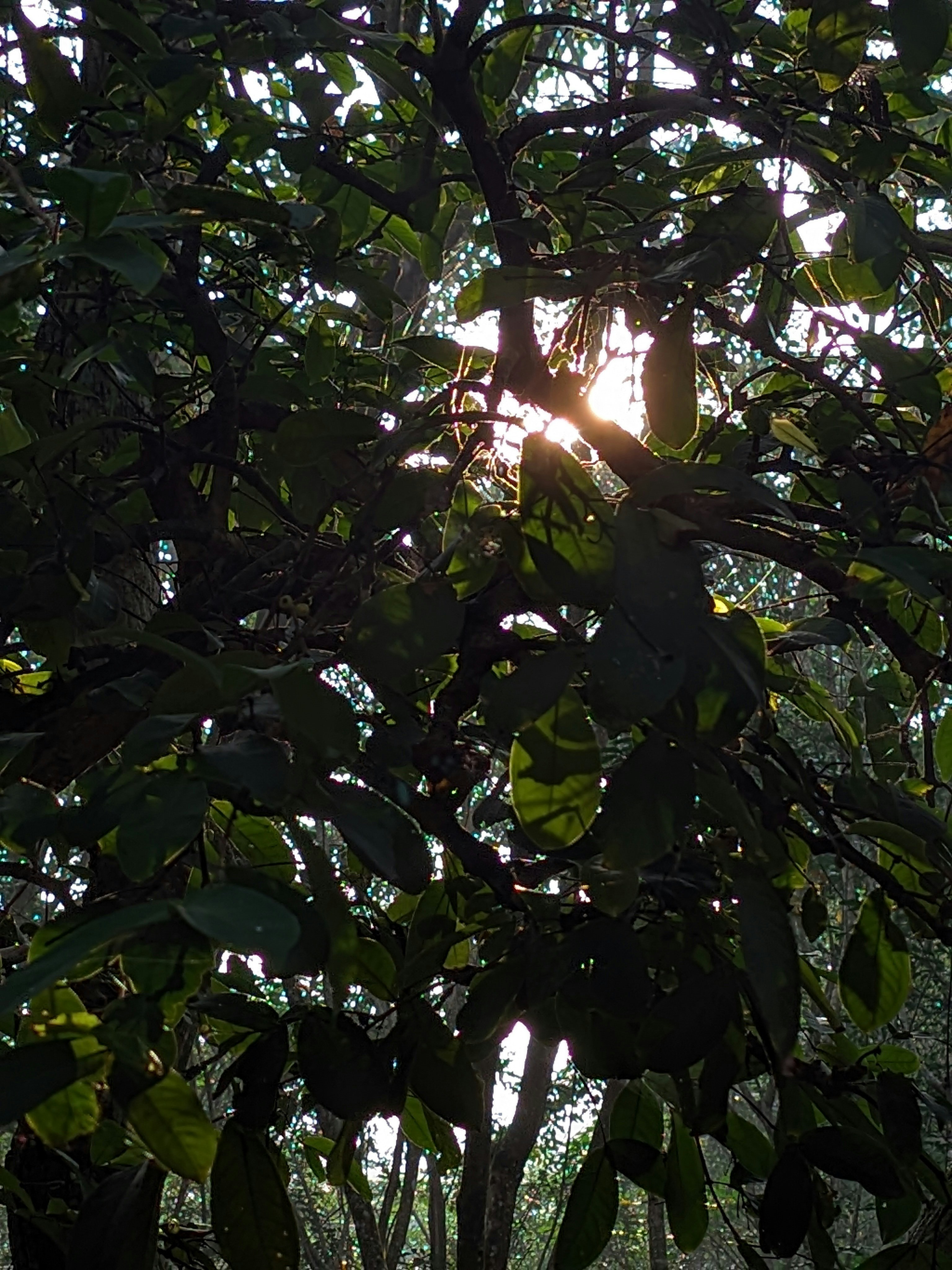 Photo by syamnani140