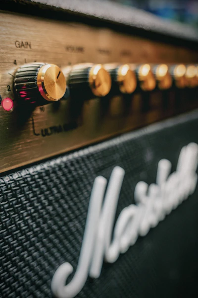 Analog Delay Pedal Warm Tape Style