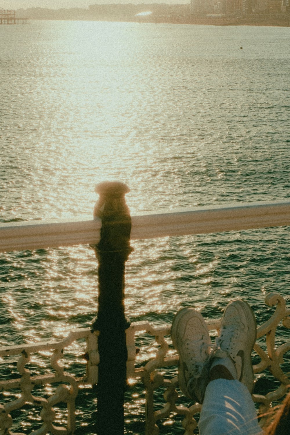 a person is sitting on a railing overlooking the water