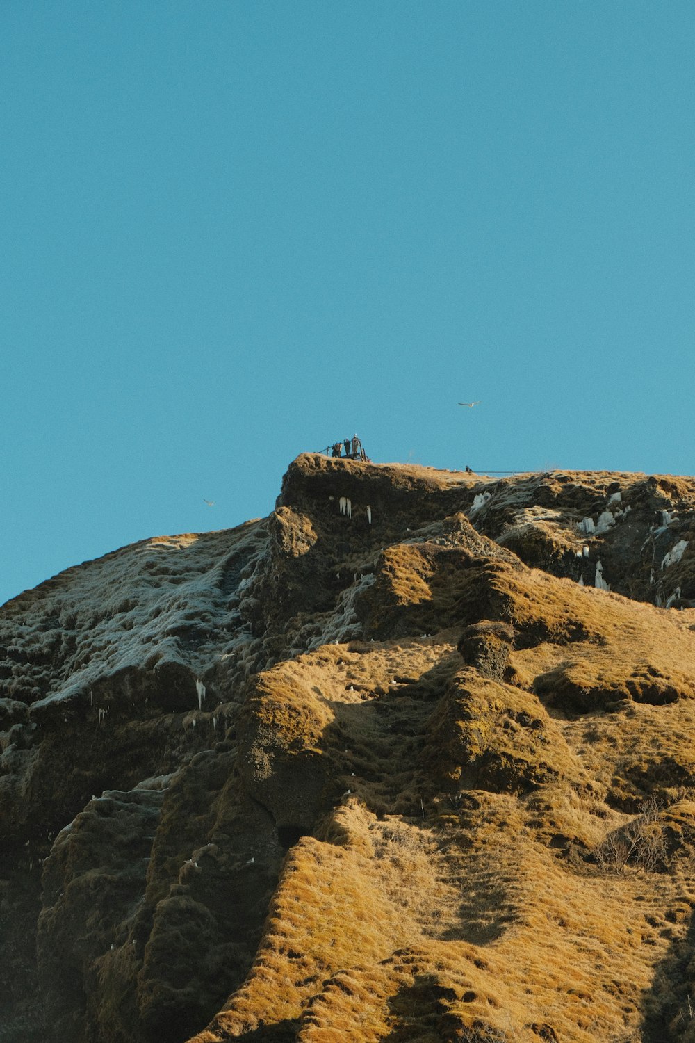 a group of people standing on top of a mountain