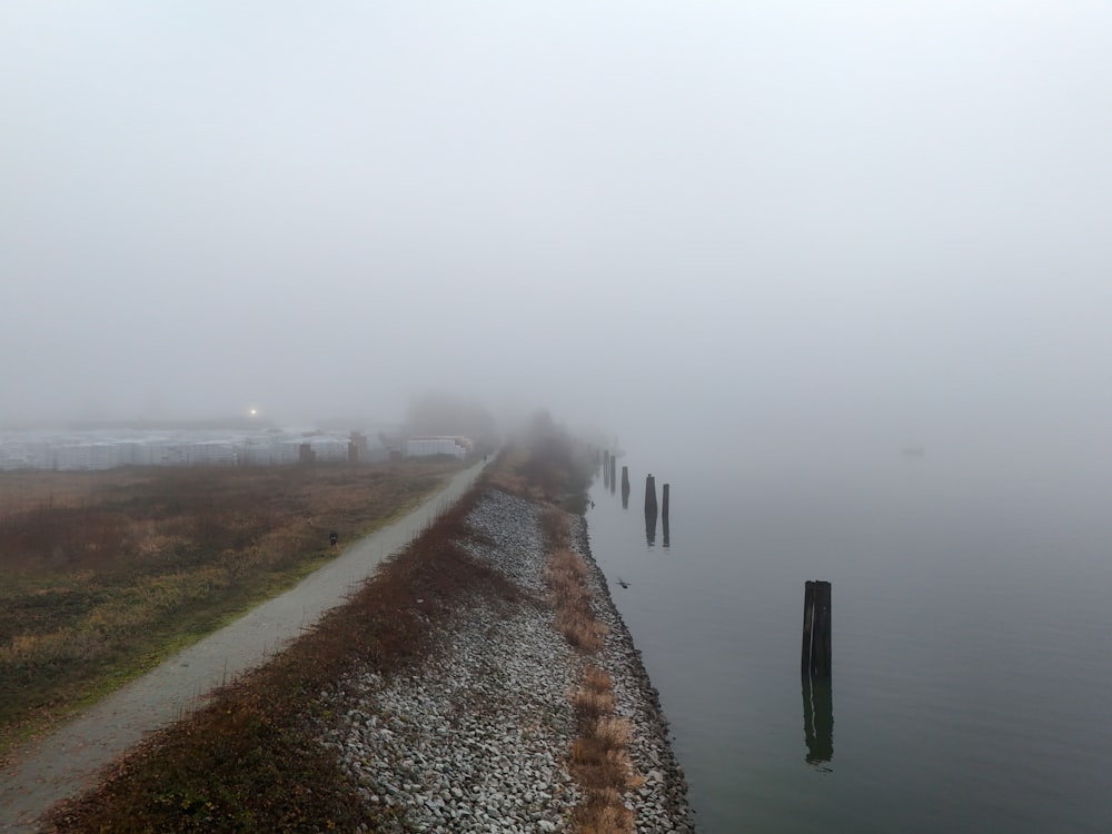 a foggy day on a foggy lake shore