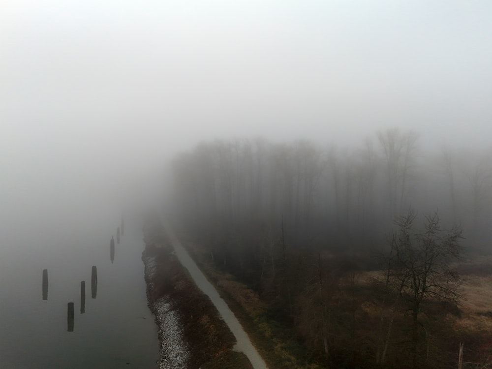 a foggy landscape with trees and a road