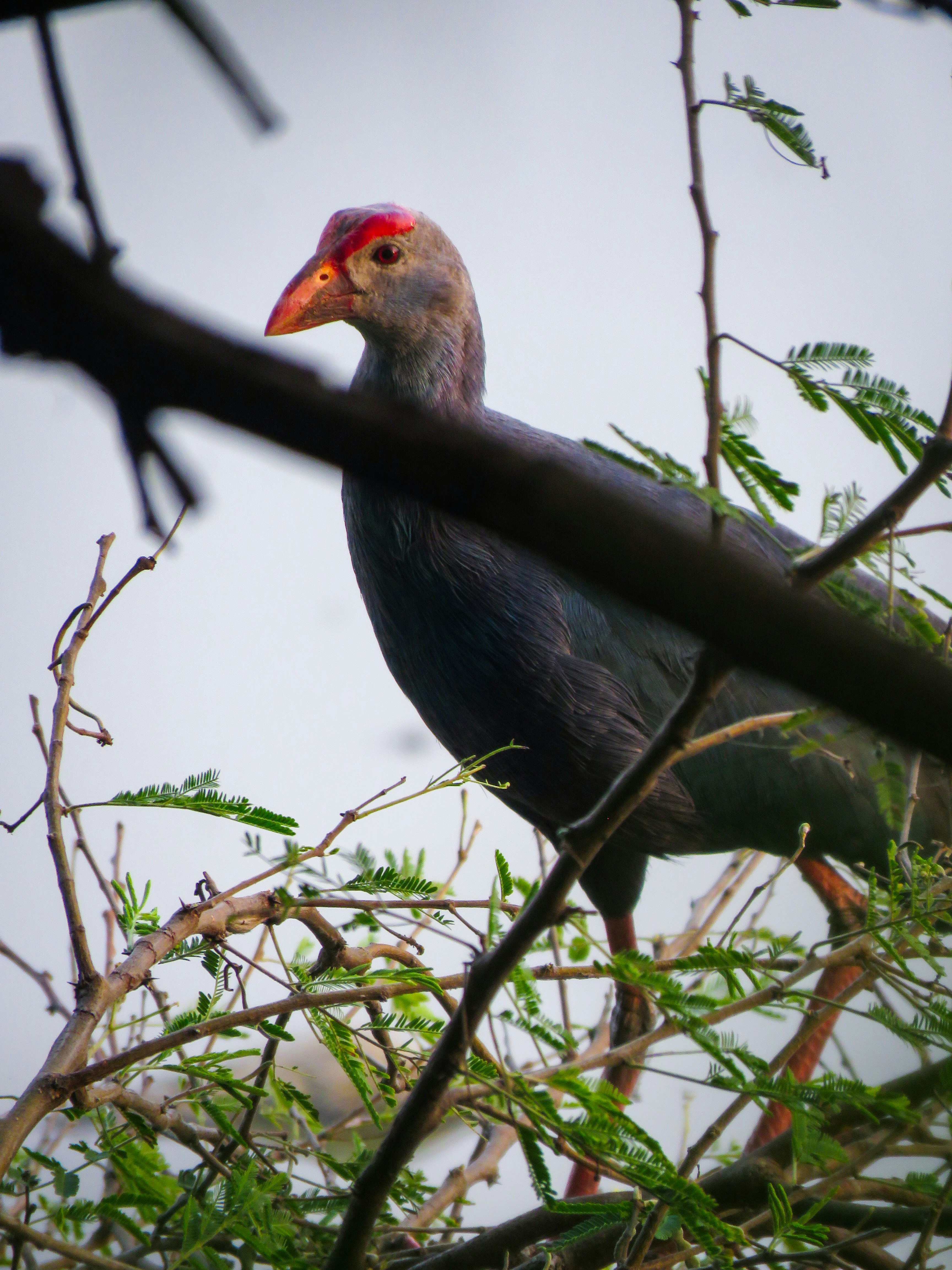 Photo by anandramavath_786