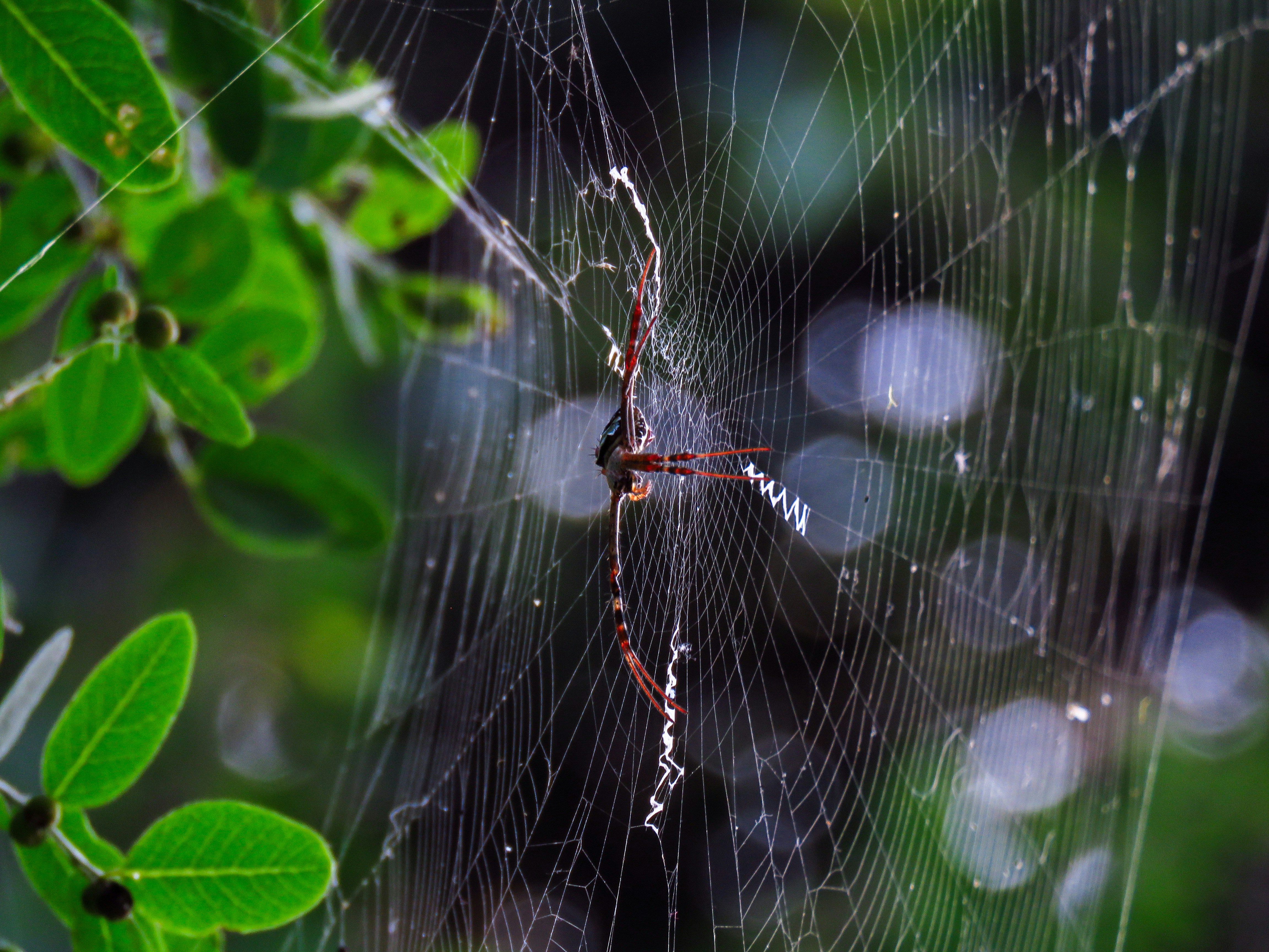 Photo by anandramavath_786