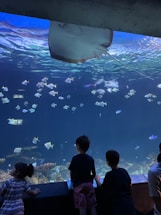 A large underwater aquarium scene featuring a variety of fish, including a prominent stingray near the water's surface. Children are observing the aquatic life through a transparent viewing panel. The ambiance is dimly lit, with a strong blue hue from the water.
