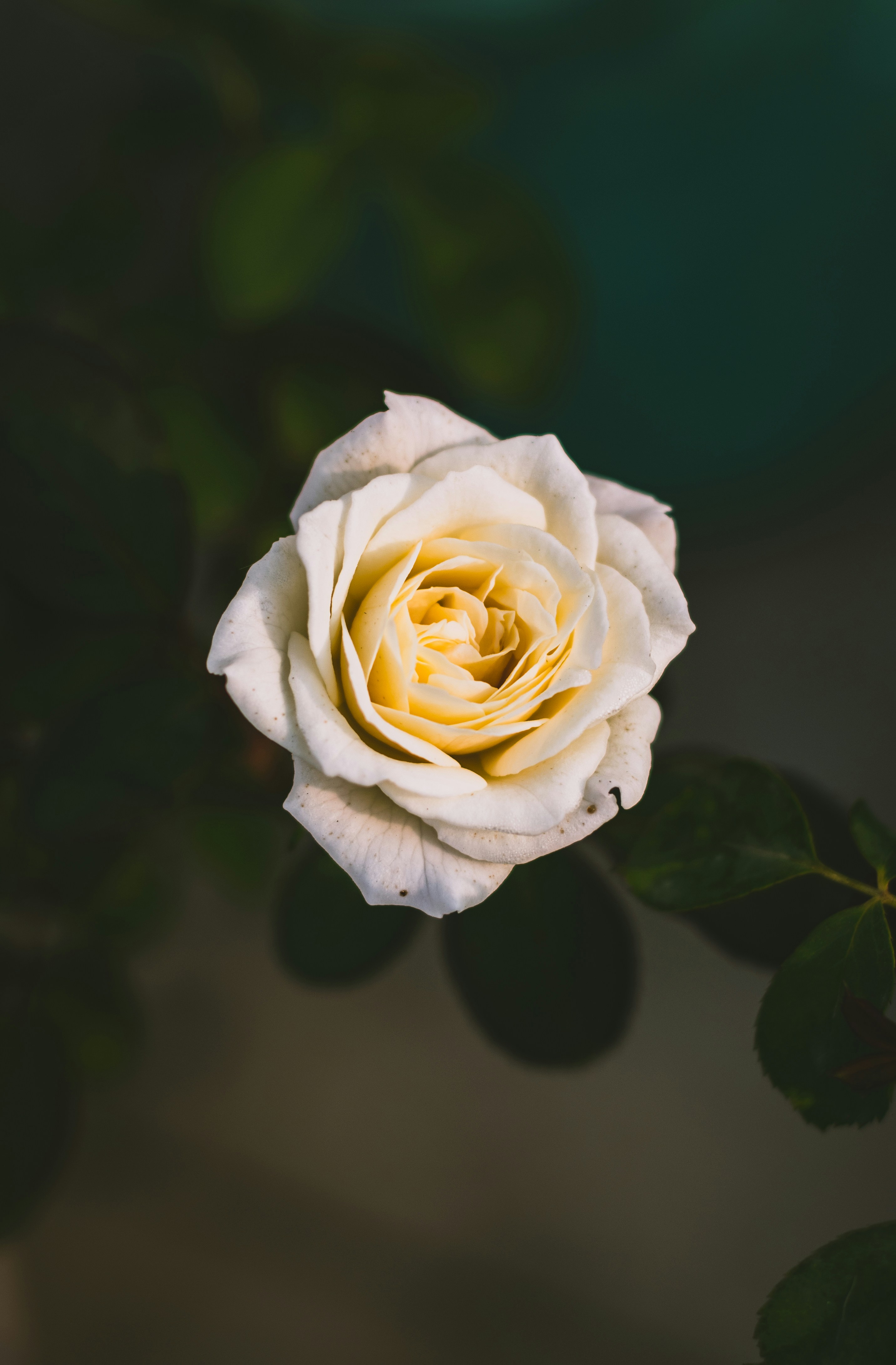 Photo by drofficial_96