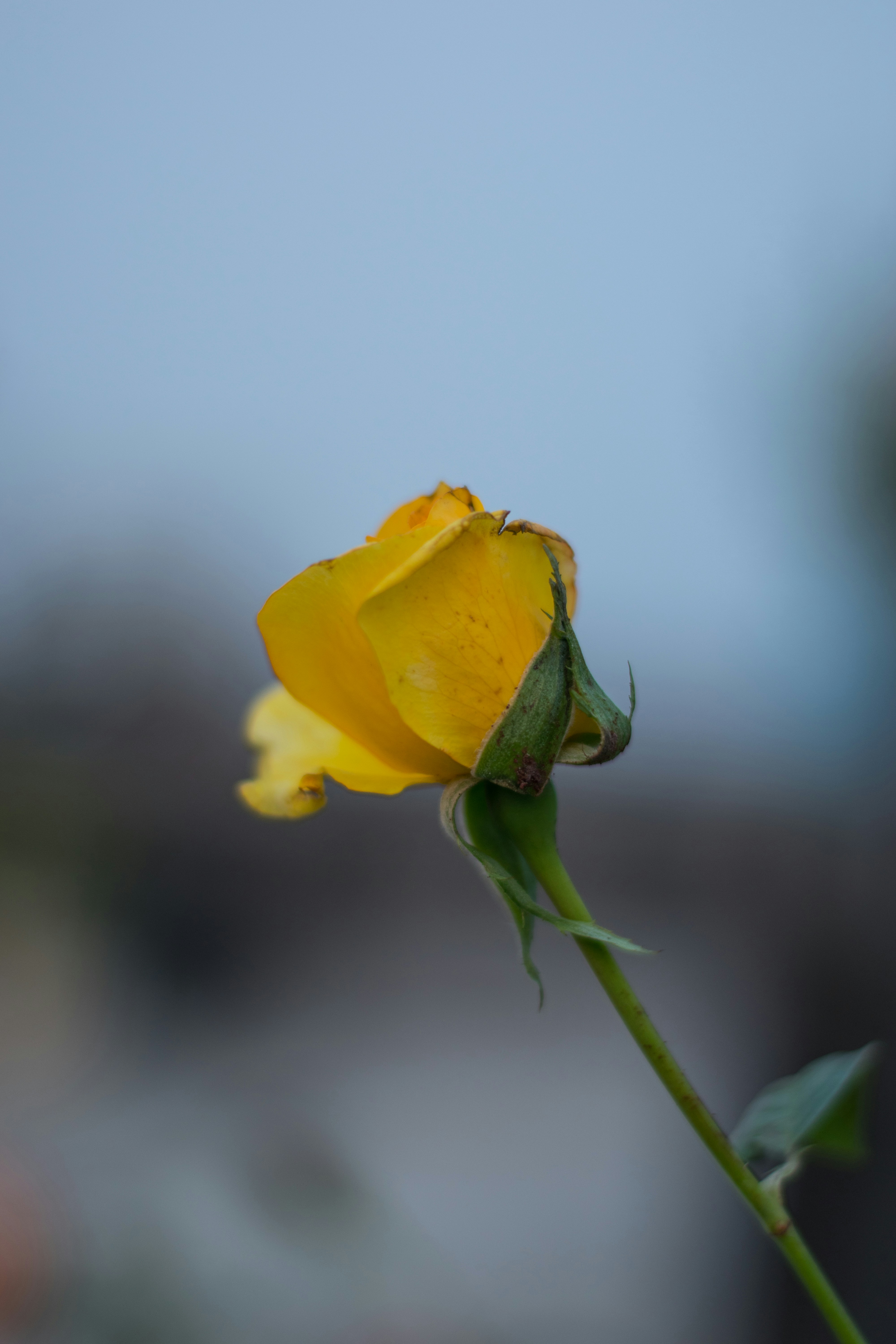 Photo by drofficial_96