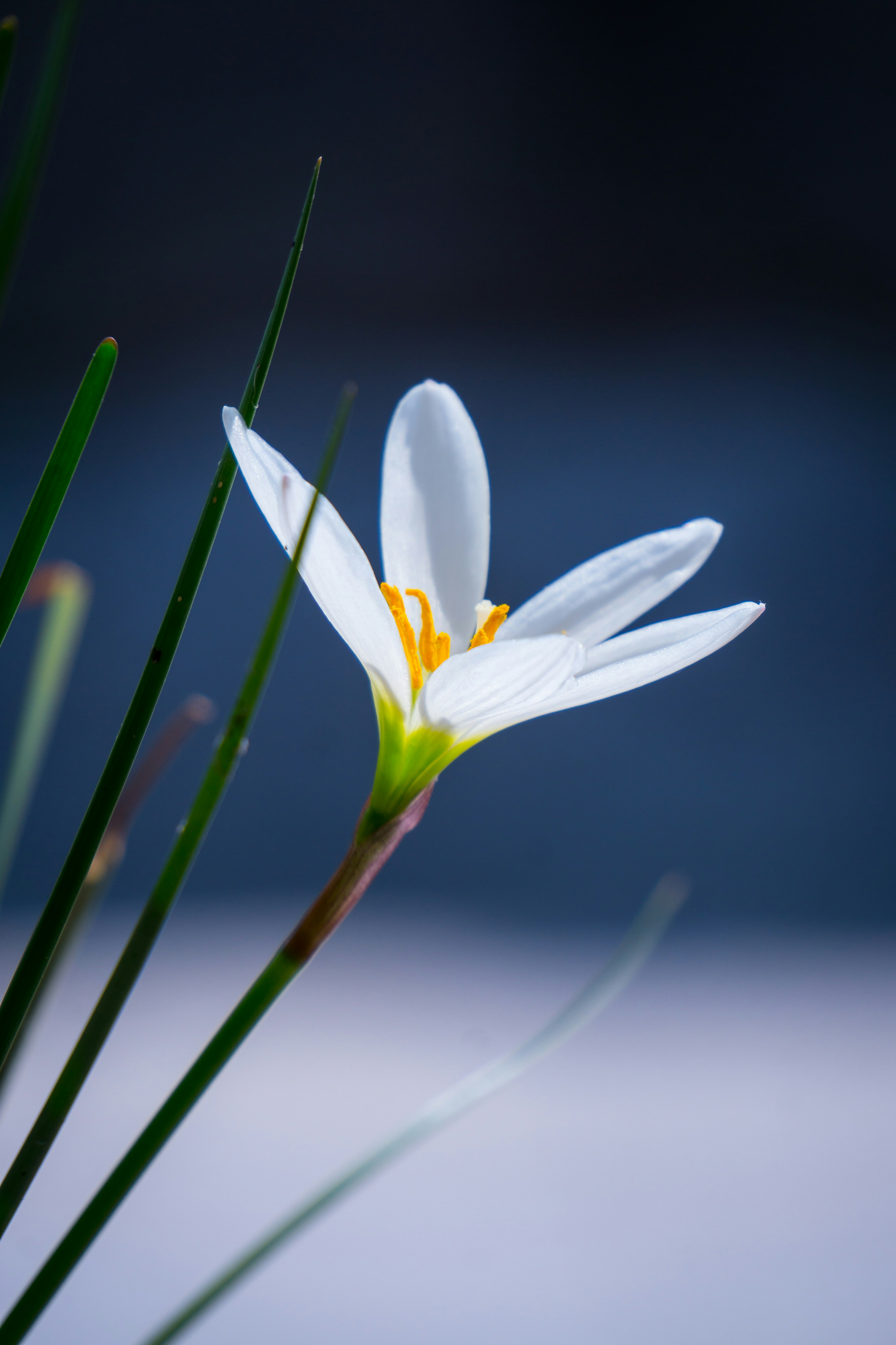 Photo by drofficial_96