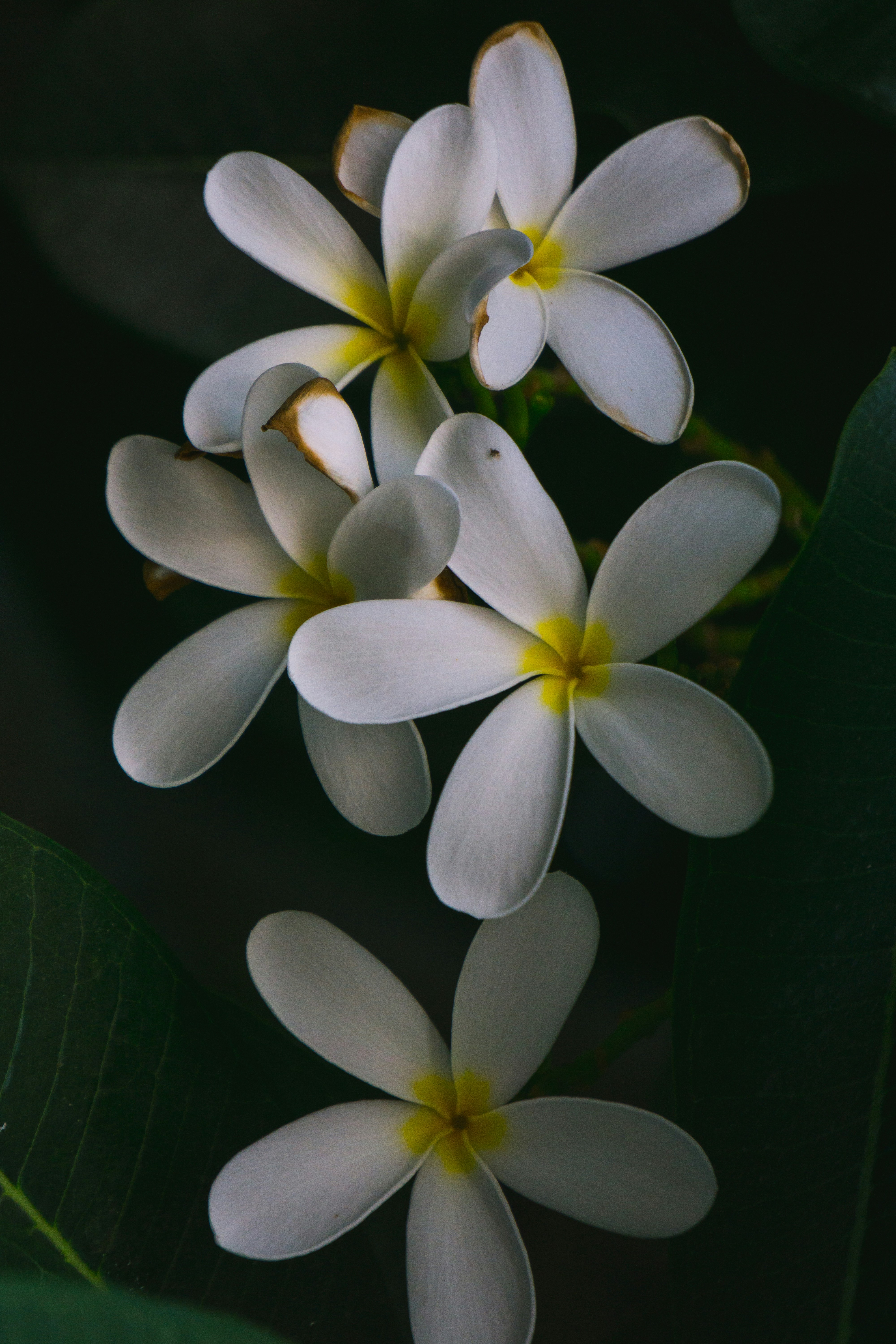 Photo by drofficial_96