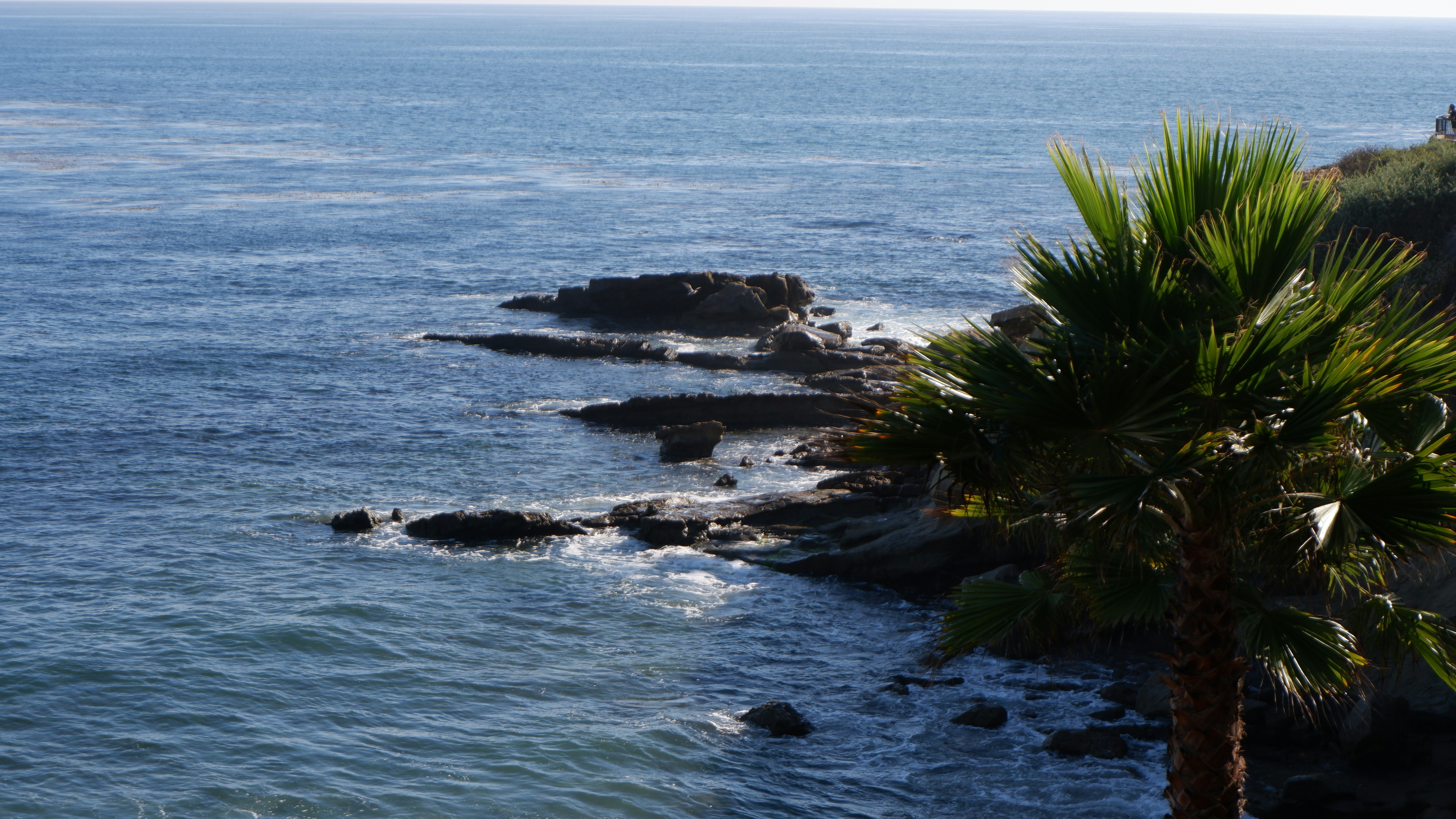 Photo by tiusjohnson18