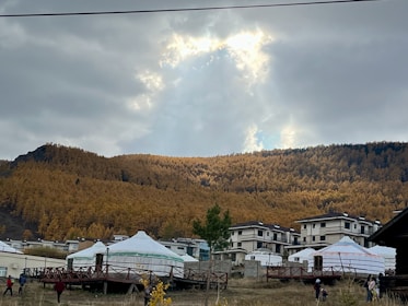 A scenic shot of Ulaanbaatar cityscape with subtle Korean cultural elements blended in, symbolizing our agency’s roots and reach.