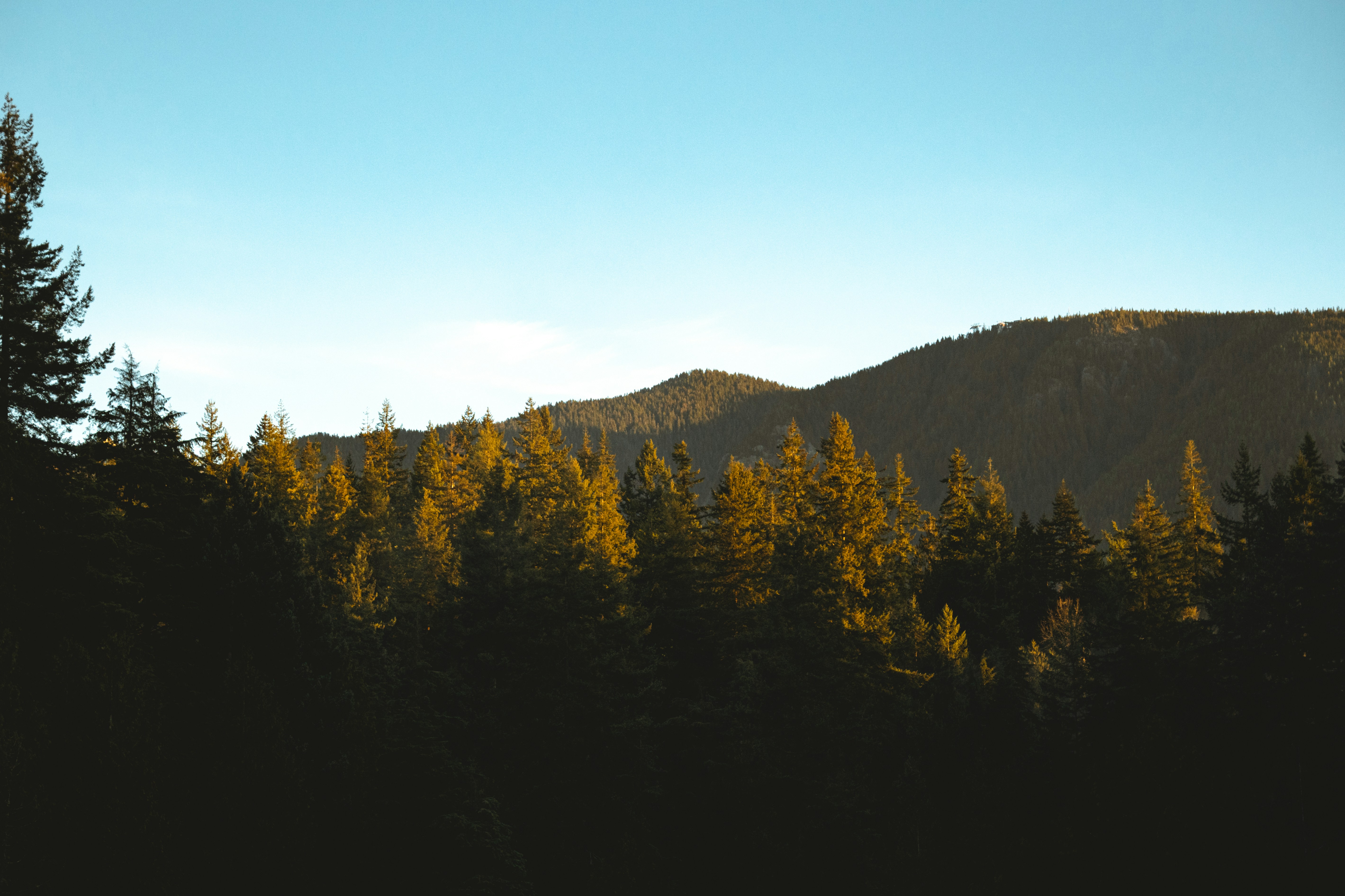 Photo by bylukemiller