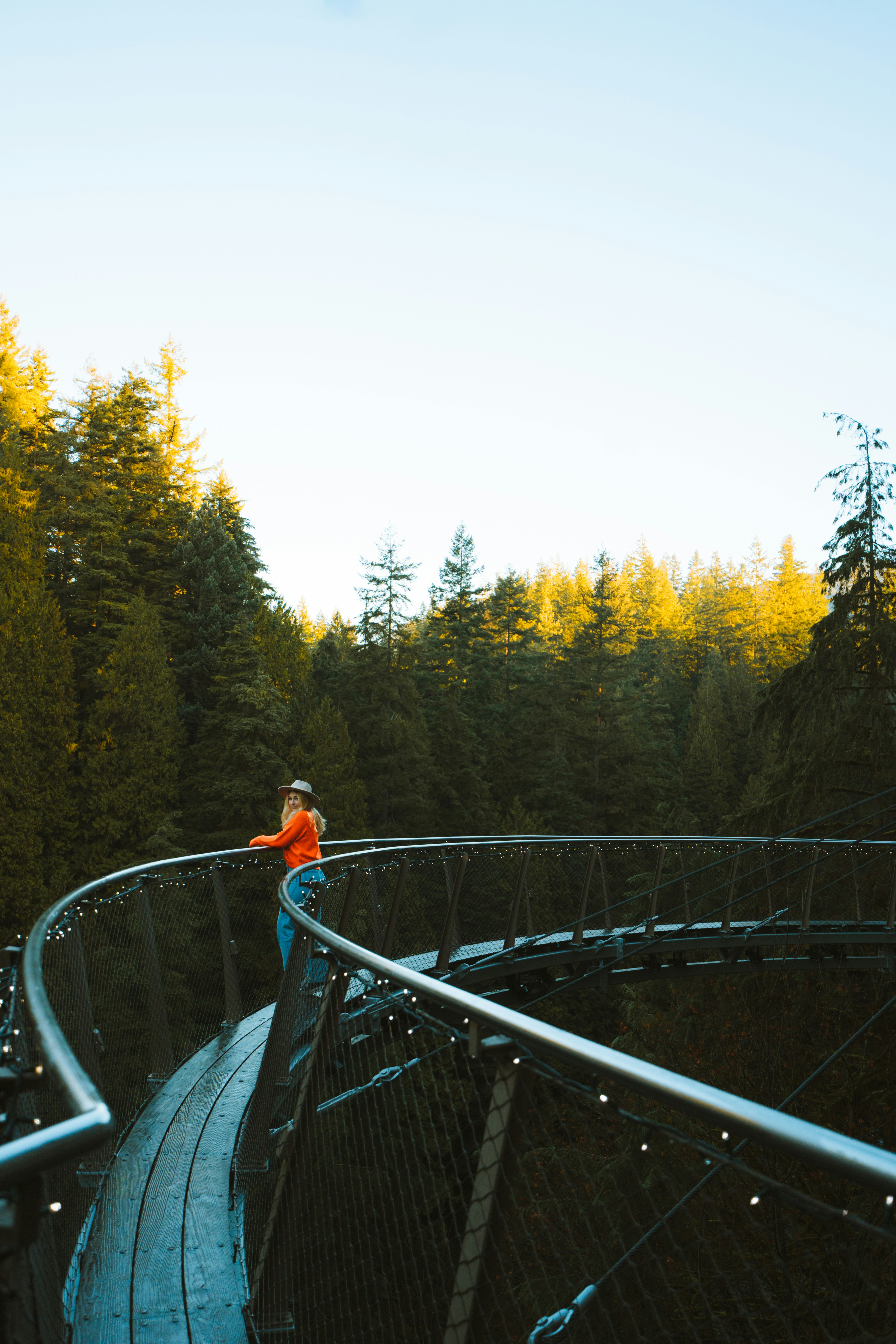 A man standing on a bridge in the middle of a forest