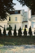 A row of neatly trimmed evergreen shrubs is lined up in front of a bright yellow two-story building with multiple windows and air conditioning units. The building is partially shaded by overhanging tree branches with lush green foliage. The foreground consists of a grassy area with scattered fallen leaves, indicating a serene urban environment.