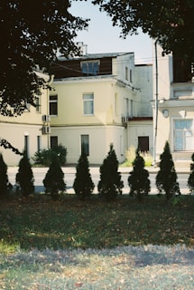 A row of neatly trimmed evergreen shrubs is lined up in front of a bright yellow two-story building with multiple windows and air conditioning units. The building is partially shaded by overhanging tree branches with lush green foliage. The foreground consists of a grassy area with scattered fallen leaves, indicating a serene urban environment.