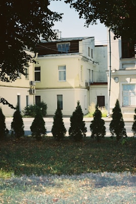 A row of neatly trimmed evergreen shrubs is lined up in front of a bright yellow two-story building with multiple windows and air conditioning units. The building is partially shaded by overhanging tree branches with lush green foliage. The foreground consists of a grassy area with scattered fallen leaves, indicating a serene urban environment.
