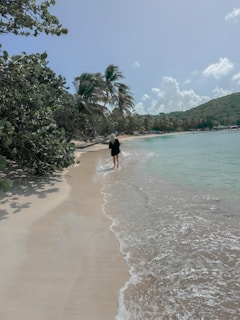 Traveler walking along a palm-lined shore with turquoise ocean stretching out.