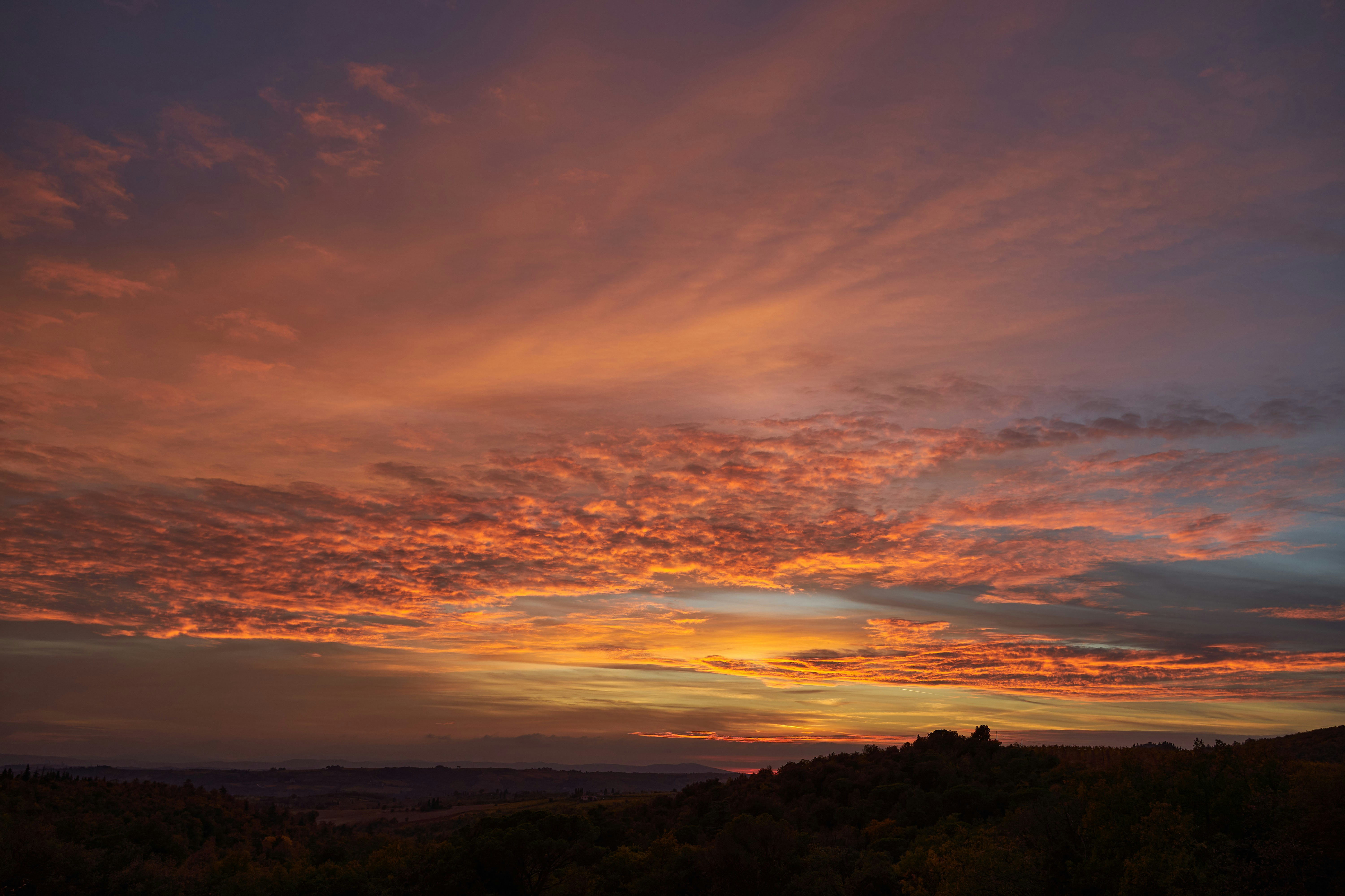 Photo by wolfgang_hasselmann