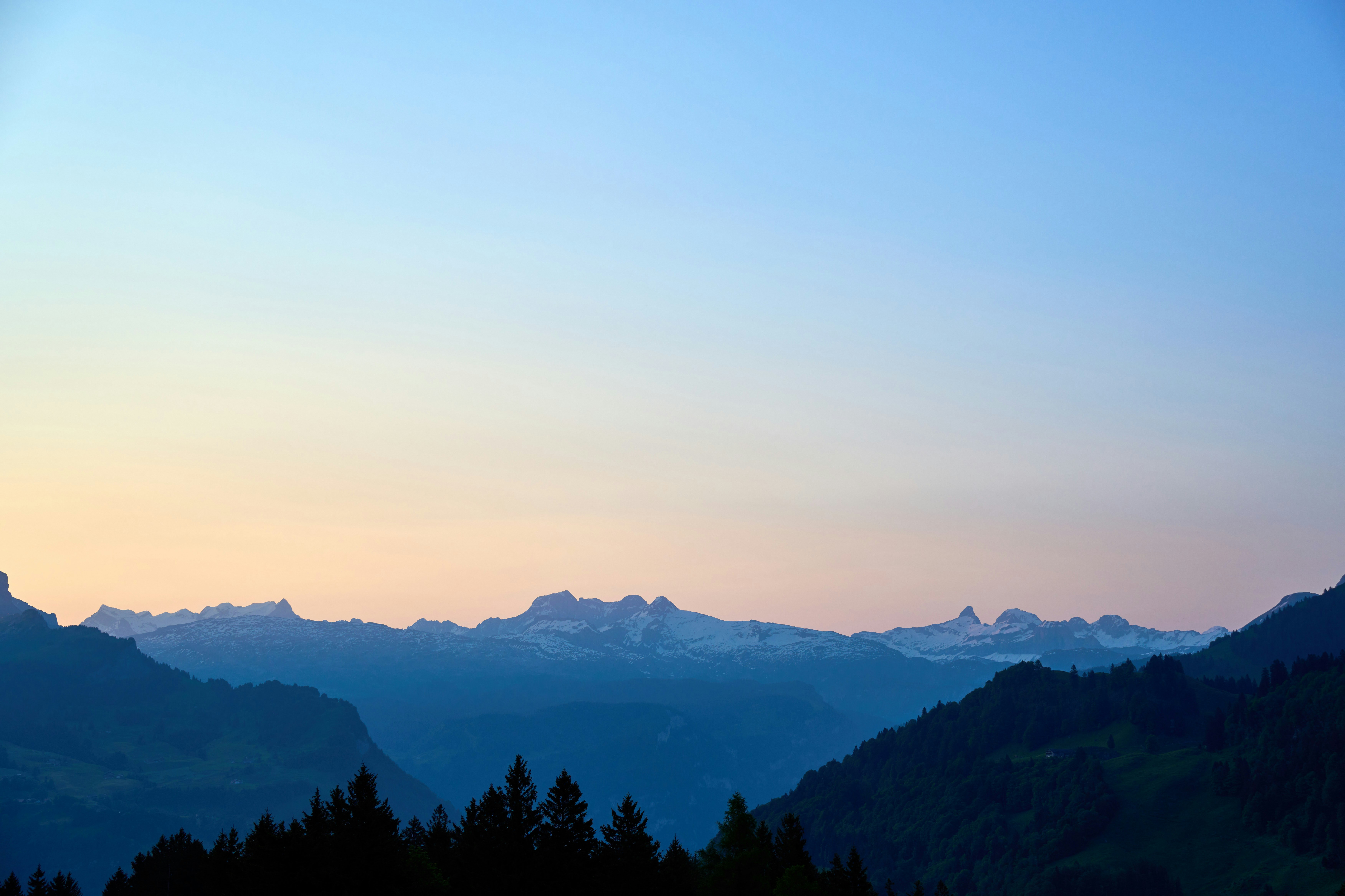 Photo by wolfgang_hasselmann