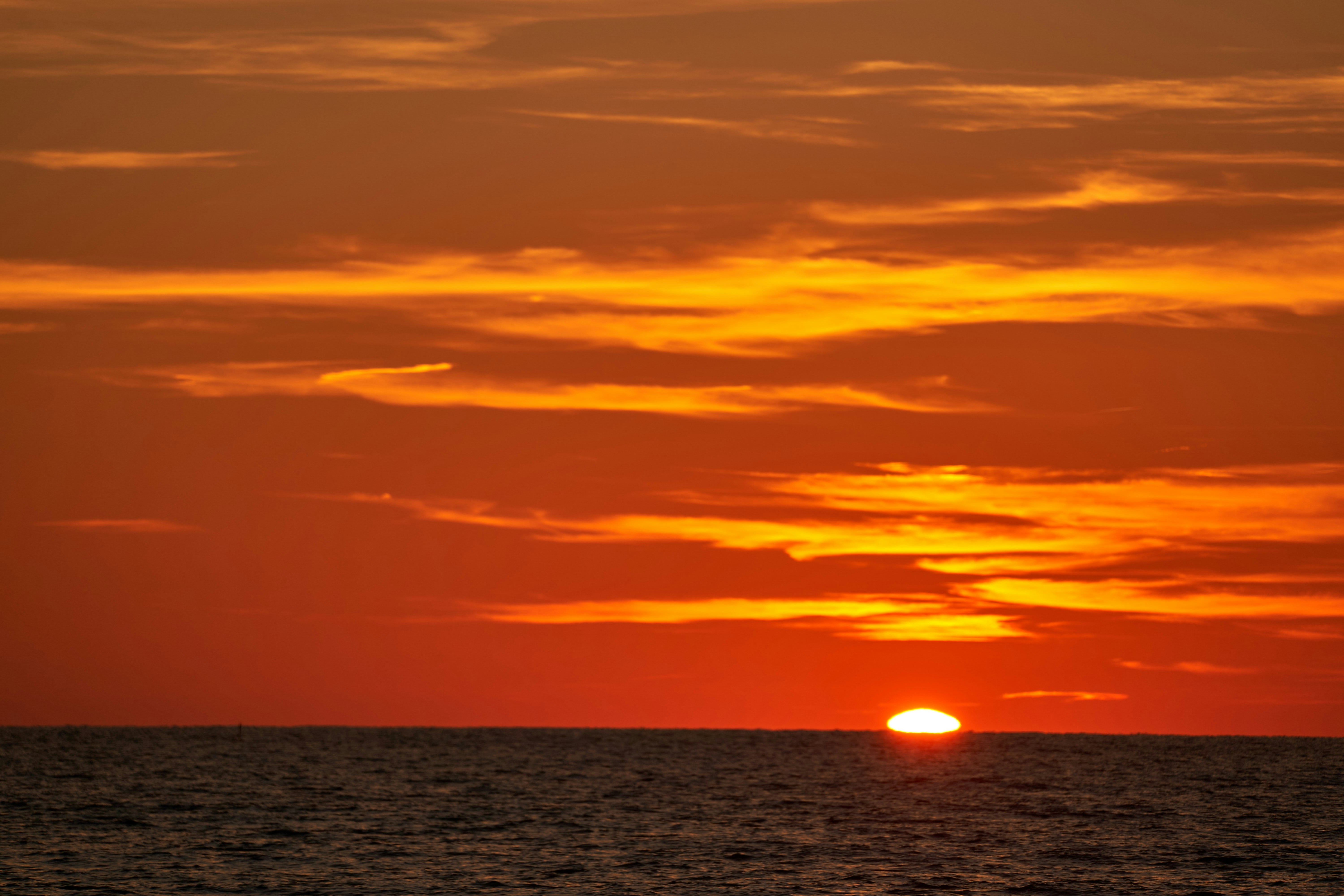 Photo by wolfgang_hasselmann