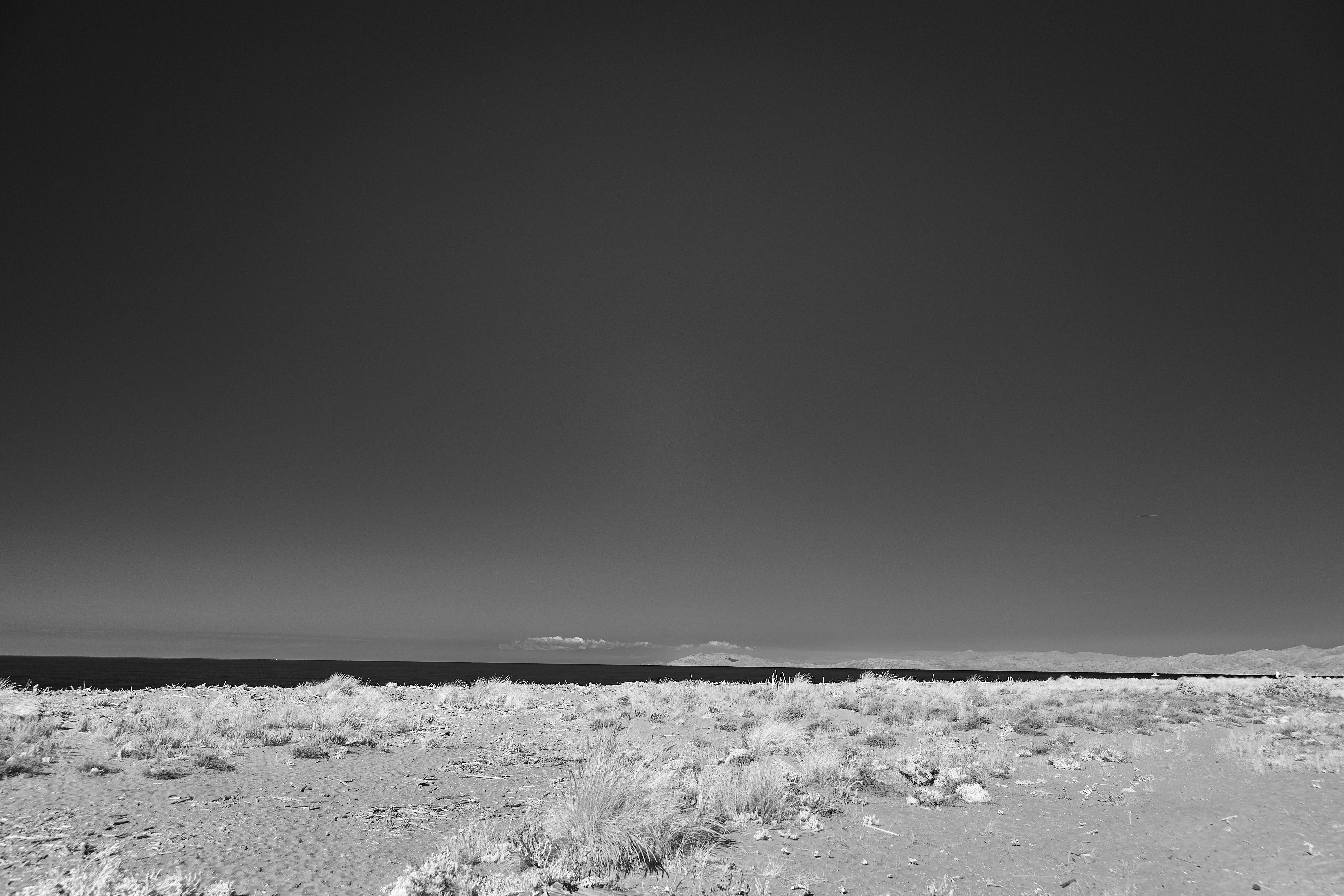 Photo by wolfgang_hasselmann