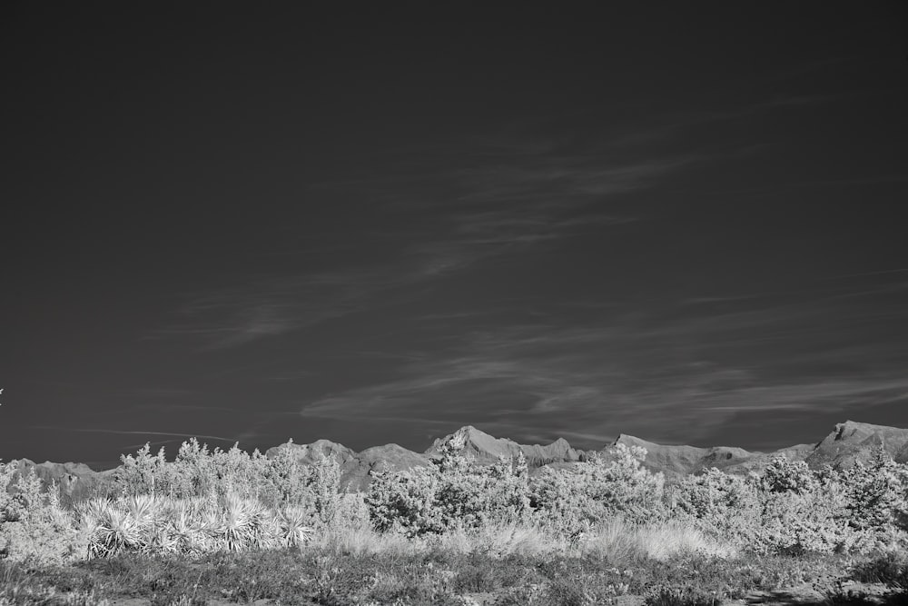 a black and white photo of a mountain range