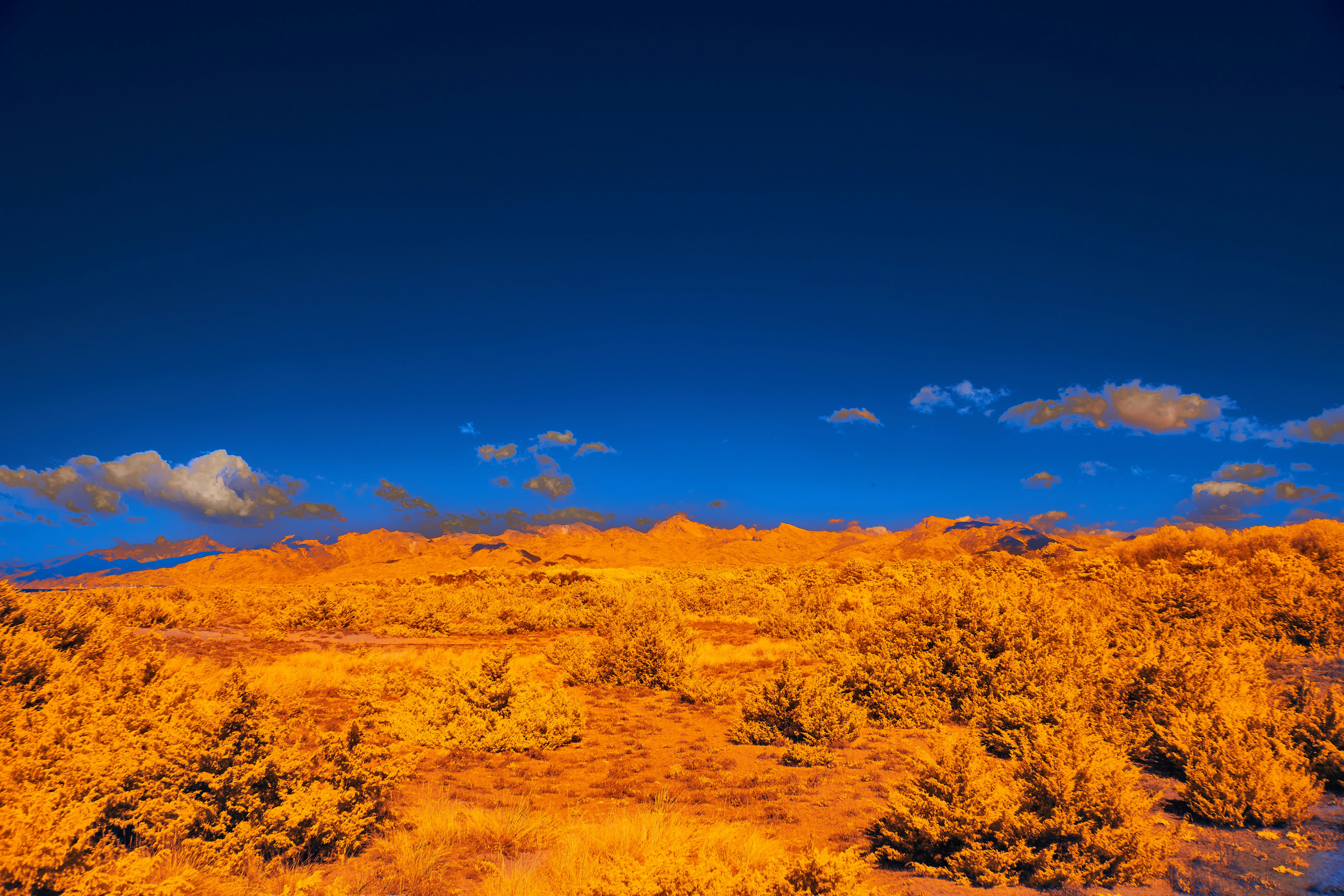 Photo by wolfgang_hasselmann