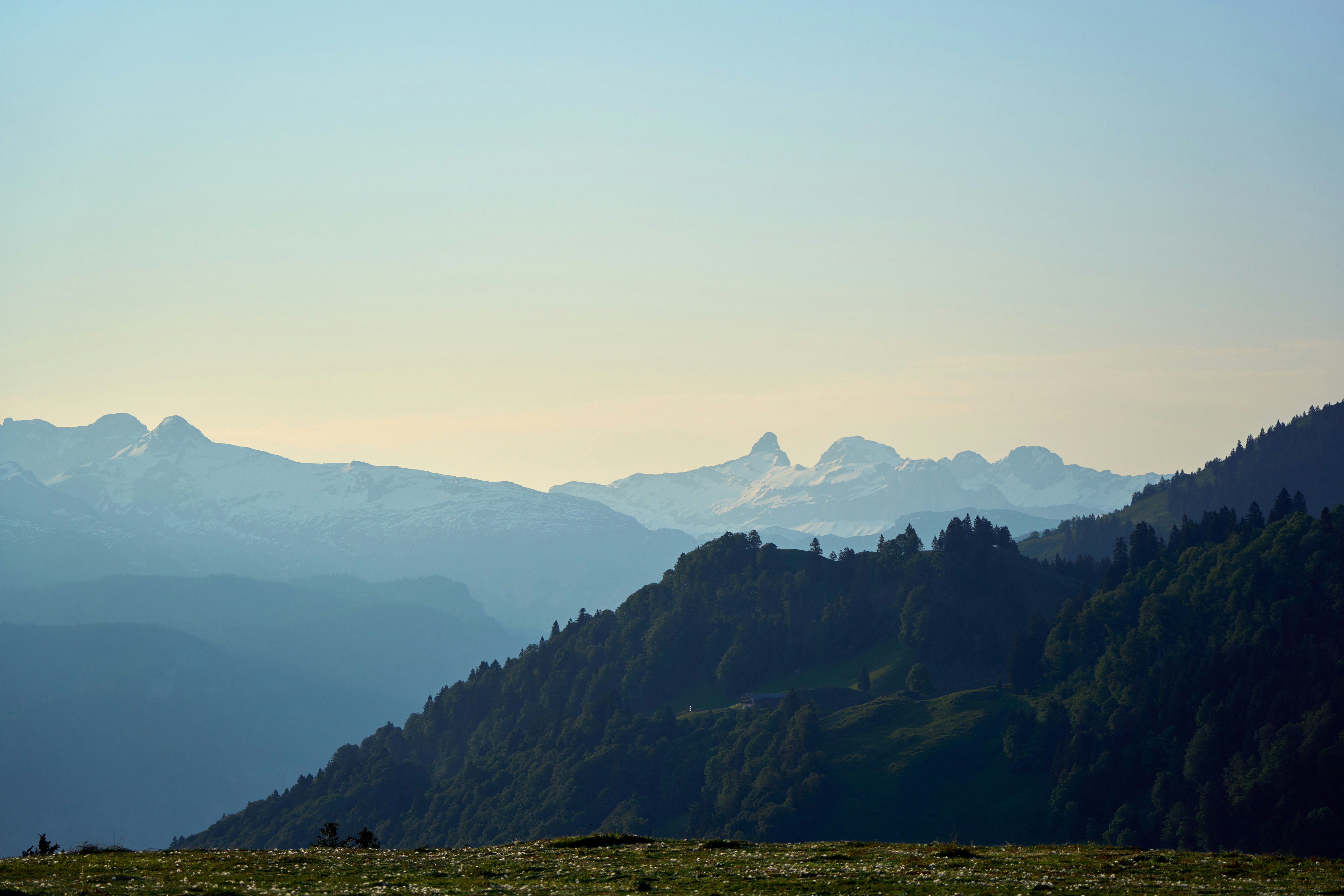 Photo by wolfgang_hasselmann