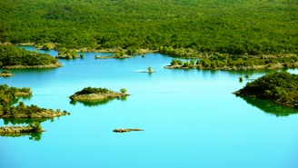 A serene landscape of Chiloé showcasing lush greenery and tranquil waters.