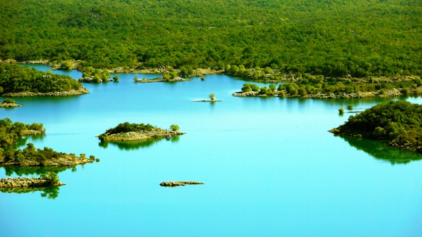 A serene landscape of Chiloé showcasing lush greenery and tranquil waters.