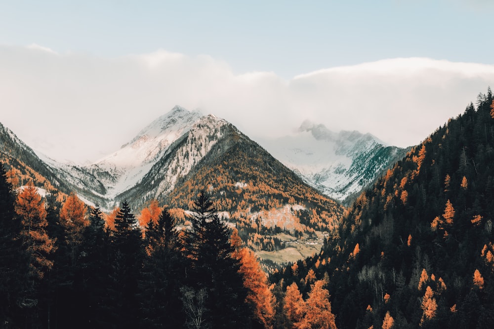 a view of a mountain range with trees in the foreground