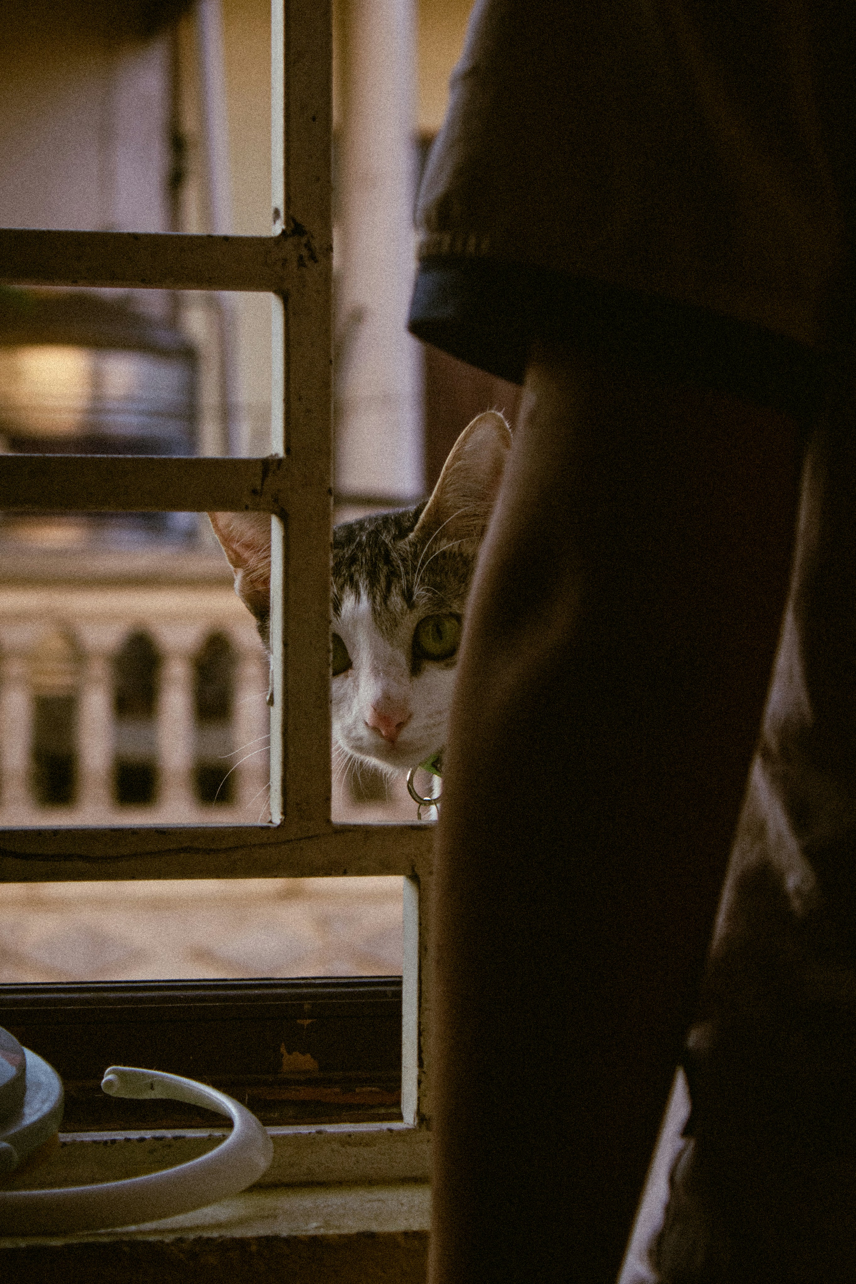 Photo by lm_____turtle02