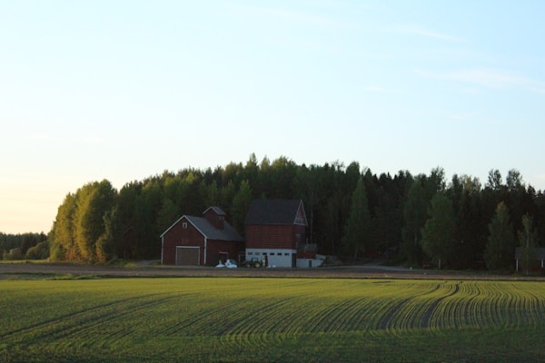 A rural landscape showcases a farmhouse with a barn surrounded by lush green fields and dense forests. The sky is partially cloudy, with the lighting suggesting either morning or evening time, casting a gentle glow over the scene.