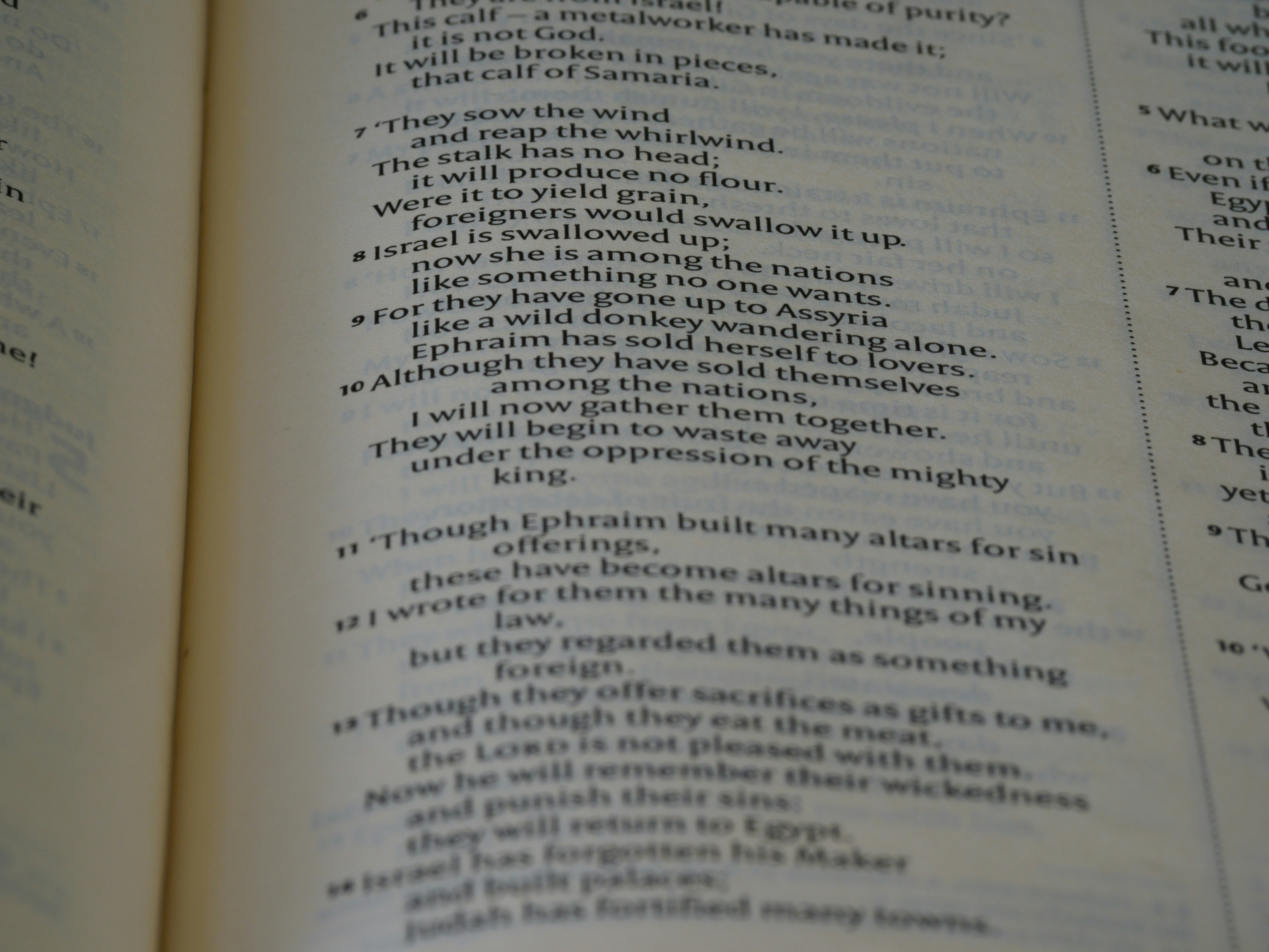 eine Nahaufnahme eines aufgeschlagenen Buches mit Worten darauf