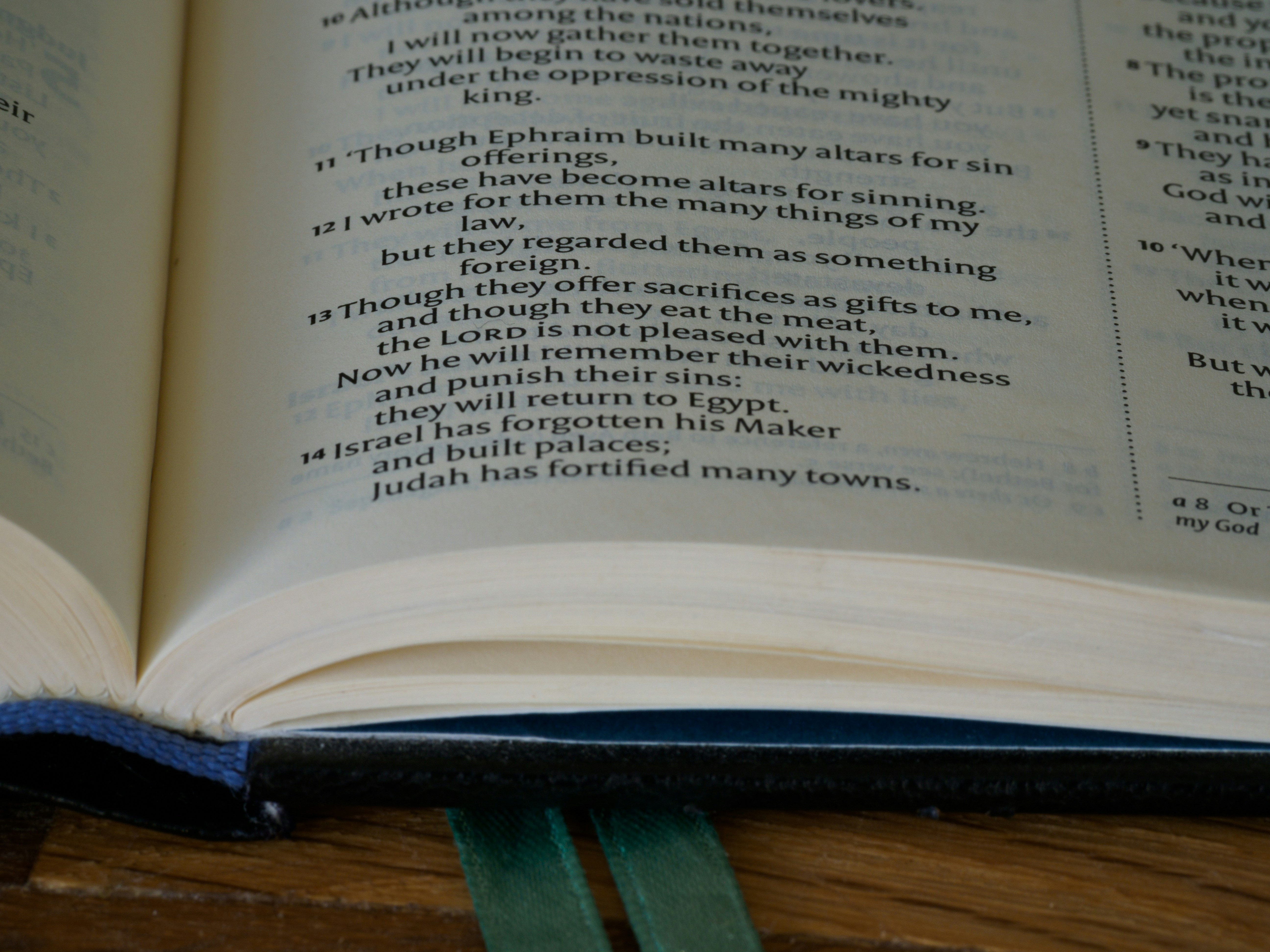 Photo by brett_jordan